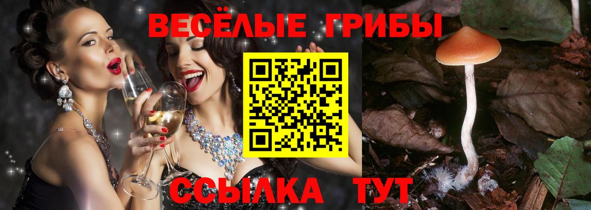 Псилоцибиновые грибы Magic Shrooms Благодарный